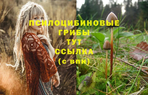прущие крисы Михайлов