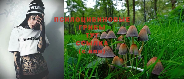 дмт Арсеньев