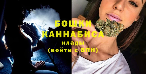 дмт Арсеньев