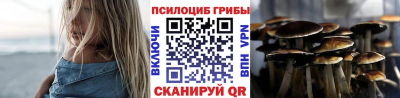 Псилоцибиновые грибы мухоморы  купить наркотики сайты  Аткарск 